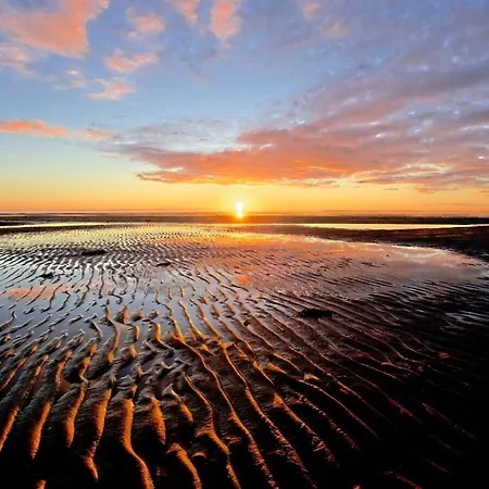 Schroeders House House 1c *